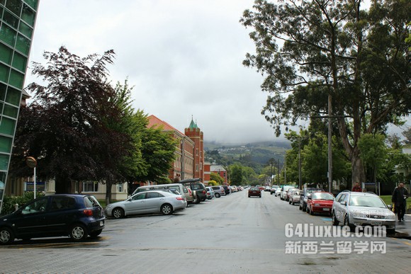 �¿���������ѧҽѧרҵ