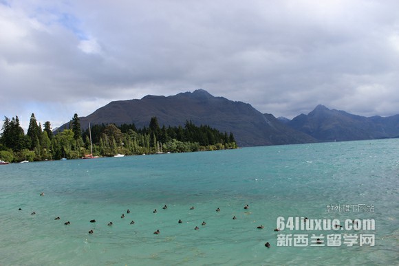 ��������ҽѧרҵ