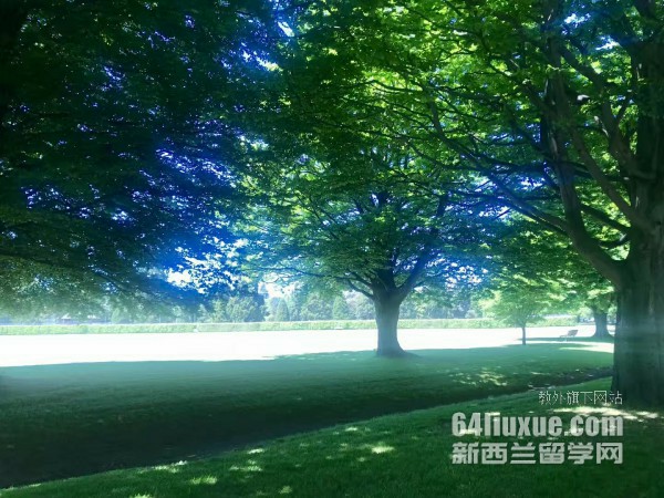 新西兰惠灵顿维多利亚大学本科专业怎么样
