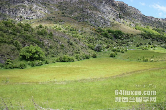 新西兰梅西大学会计系