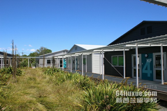 梅西大学健康科学硕士专业