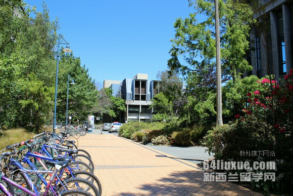新西兰公立大学预科毕业