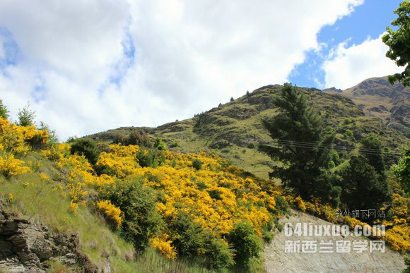 坎特伯雷大学专业