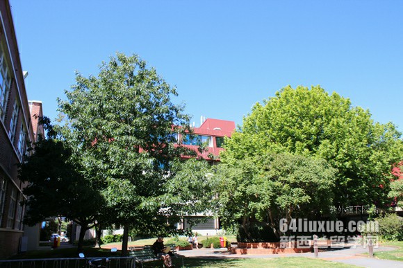 新西兰大学分布