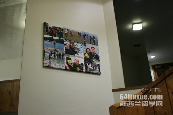 新西兰怀卡托理工学院市场营销专业