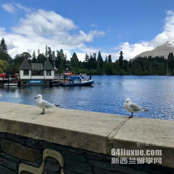 �����������ά�����Ǵ�ѧ�����רҵ