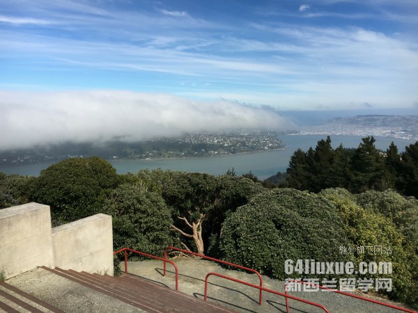 新西兰惠灵顿维多利亚大学博士
