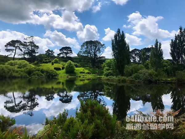新西兰理工学院专业