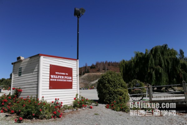 ������unitec����ѧԺ����GD�γ���