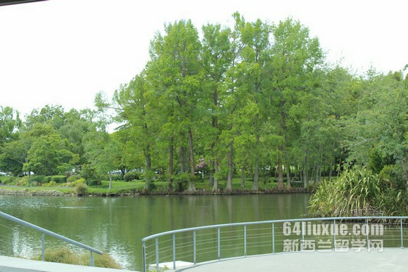 ���������������ѧԺ��ѧ����