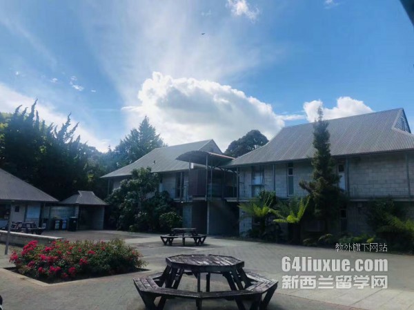 新西兰奥克兰大学艺术学院有博士吗