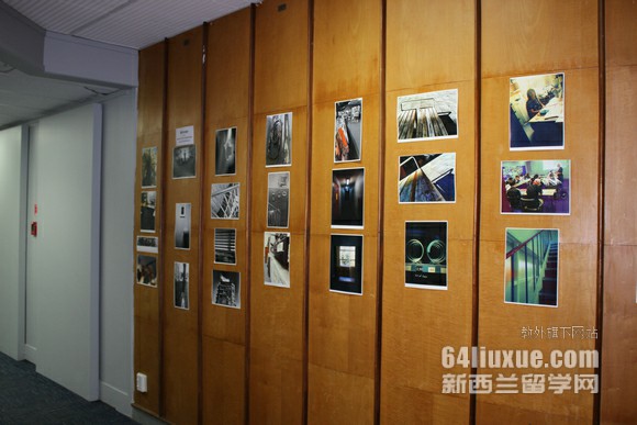 奥克兰大学幼师硕士研究生