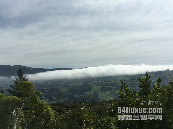 新西兰怀卡托大学专业