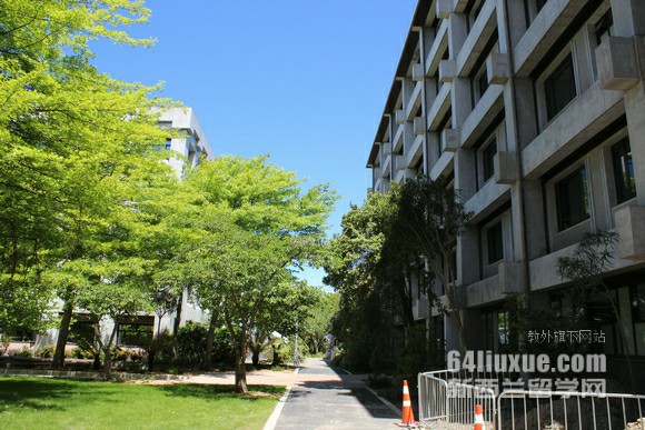 新西兰怀卡托大学专业