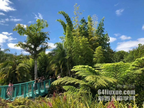 怀卡托大学法学专业读几年