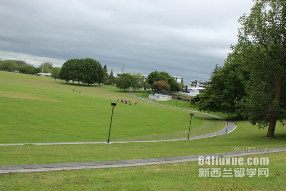 梅西大学工业设计专业