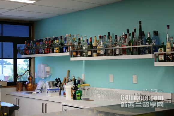 奥克兰大学研究生专业排名