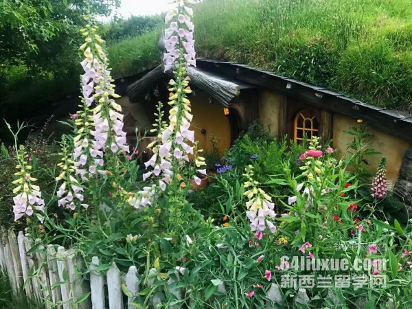 奥克兰大学开始申请时间