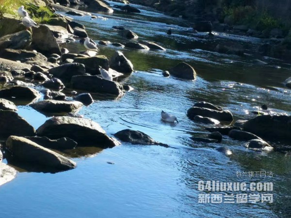 新西兰读研申请奖学金