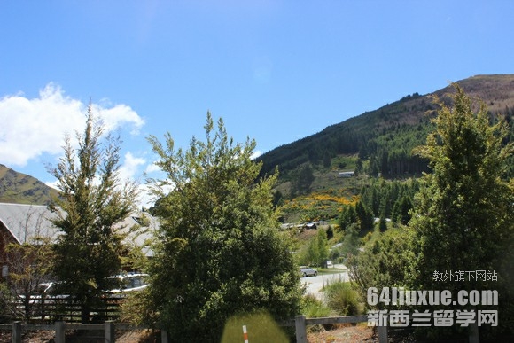 新西兰大学机械排名