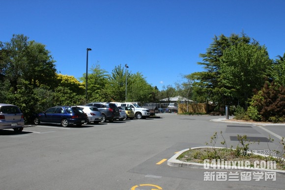 坎特伯雷大学专业设置