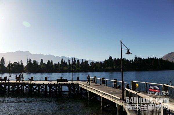 新西兰八大公立大学排名