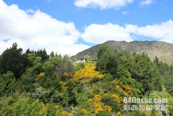 西兰接受小学生留学么