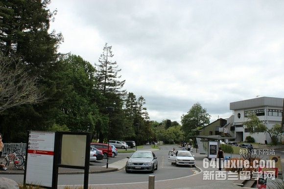 怀卡托大学会计双学位专业