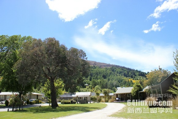 新西兰大学学费贵吗