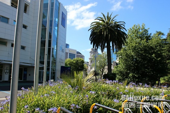 新西兰aut大学酒店管理PGD