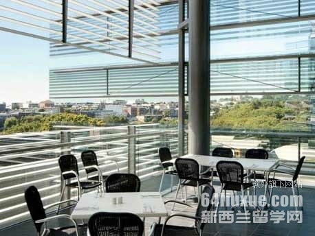 奥克兰大学回国就业