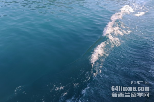 新西兰留学怎么办签证