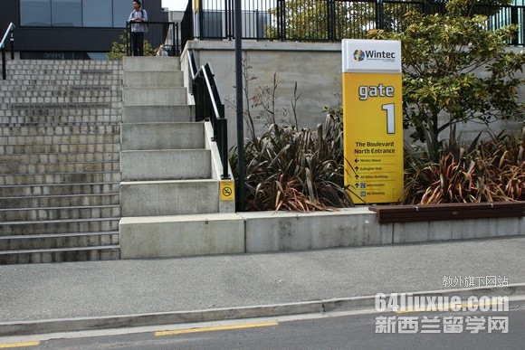 怀卡托理工学院在哪里