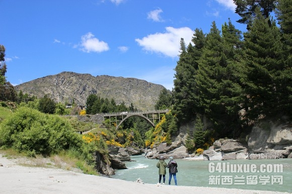 新西兰留学后怎么移民
