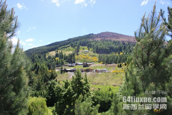 去新西兰学英语申请什么学校好
