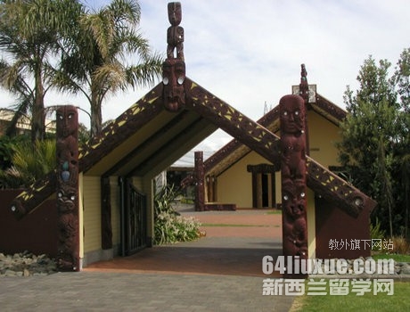 马努卡理工学院排名