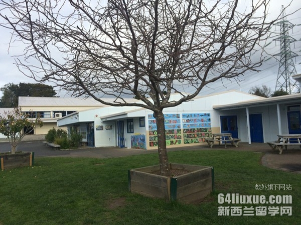 去新西兰读小学费用是多少钱