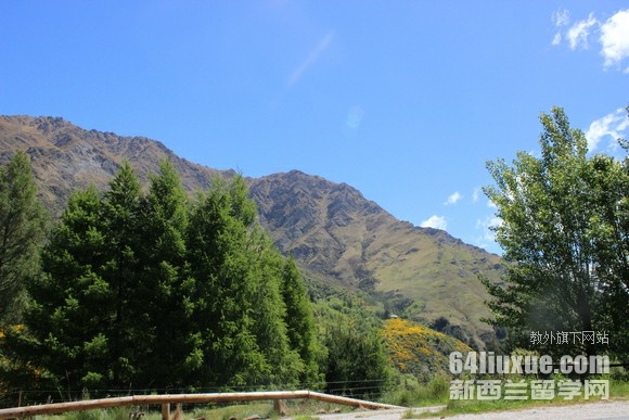 新西兰大学入学时间是几月