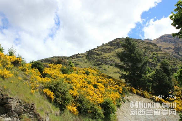 新西兰研究生就业前景