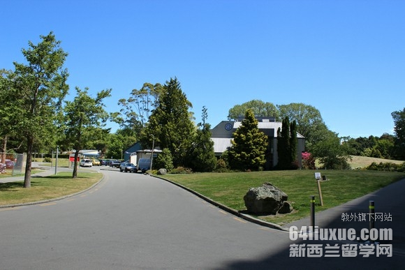 坎特伯雷大学专升硕