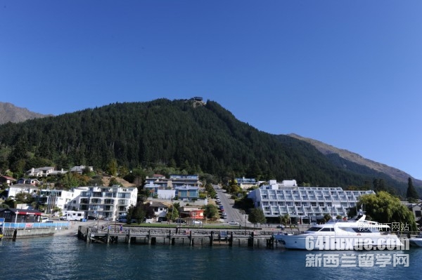 新西兰小学学校申请