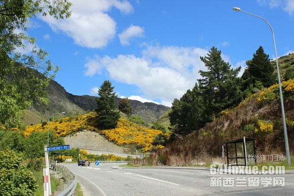新西兰读研回国前景