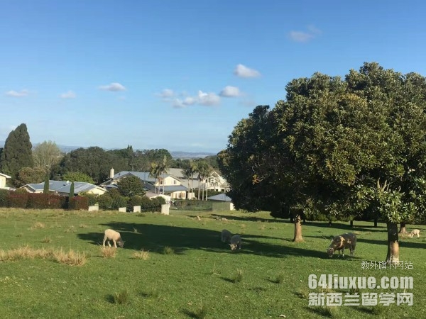 电气工程专业在新西兰就业前景