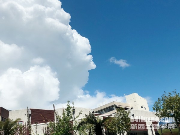 怀卡托大学语言学院