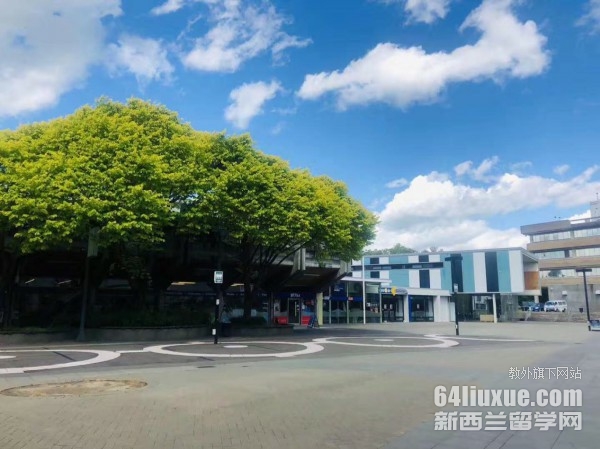新西兰梅西大学金融怎么样
