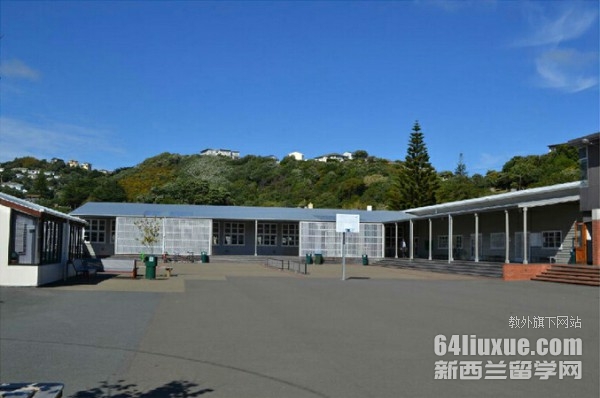 新西兰斯考特中学