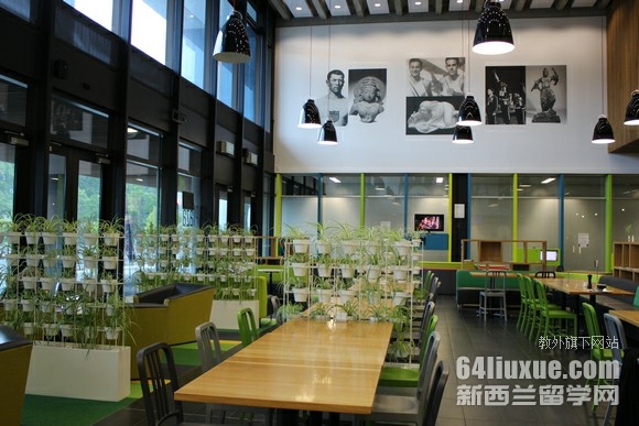奥塔哥大学哪些专业好就业