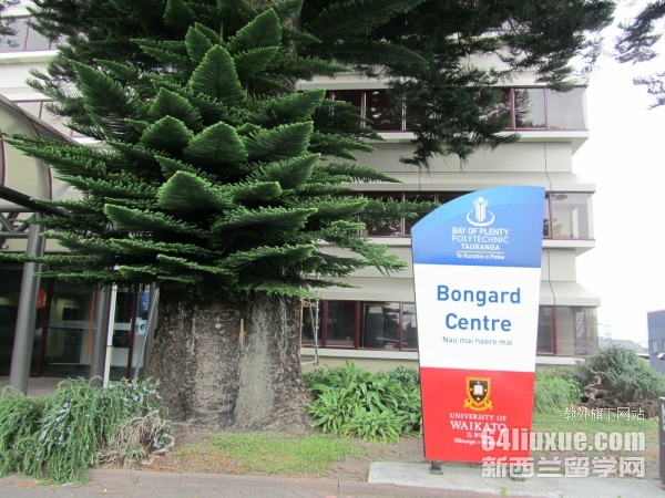 新西兰丰盛湾理工学院专业