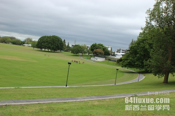 怀卡托大学研究生入学