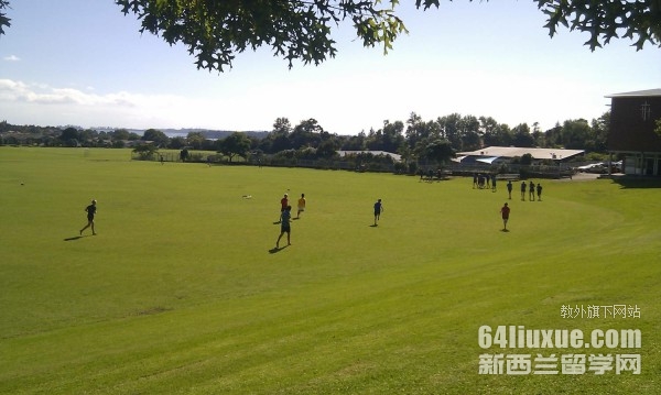 新西兰奥克兰中学排名